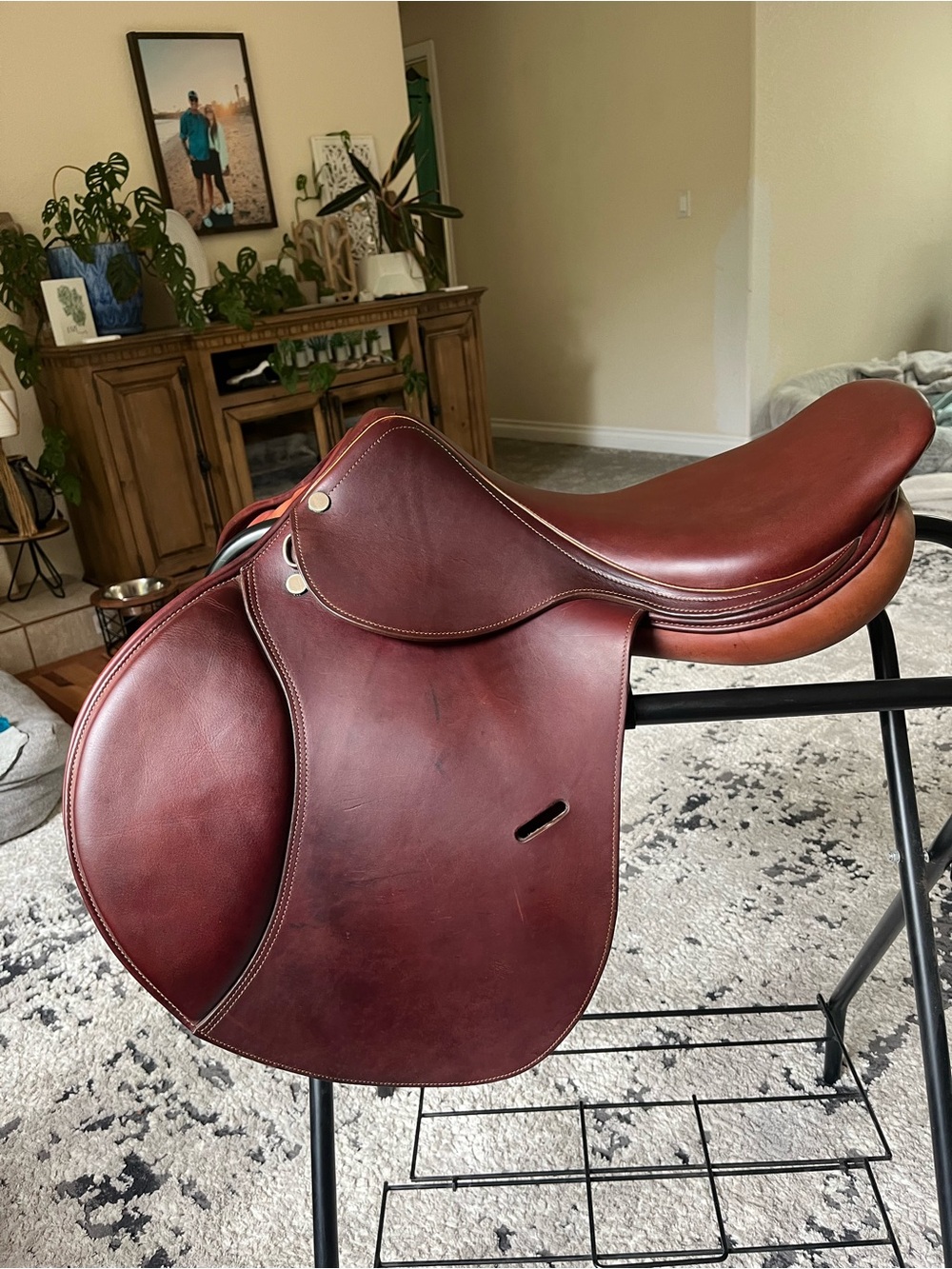 17.5” English Saddle - Horse Riding